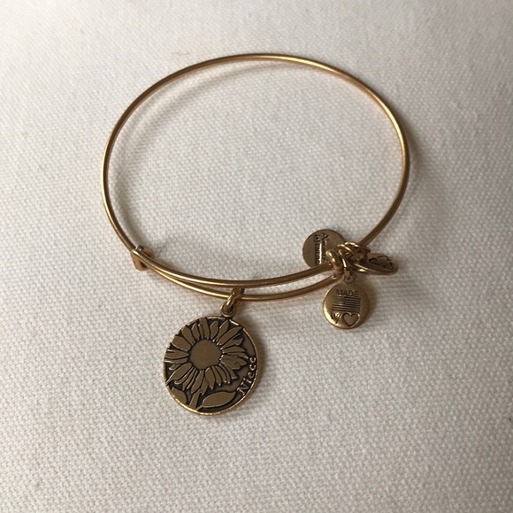 Alex and Ani Jewelry - Alex and Ani bracelet